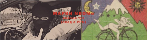 винт Надым