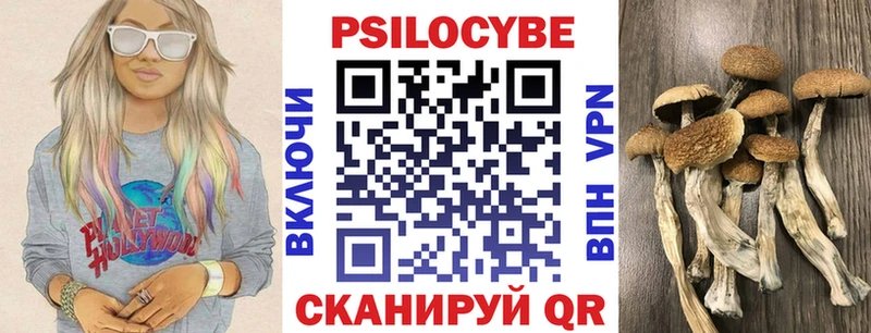 купить закладку  Шимановск  Псилоцибиновые грибы Magic Shrooms 